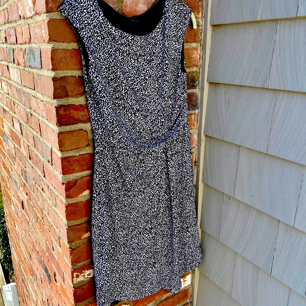 Ann Taylor Dress